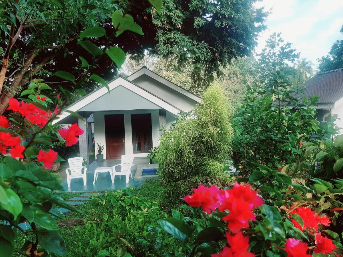 Hidden Lake Cottages シギリヤ エクステリア 写真