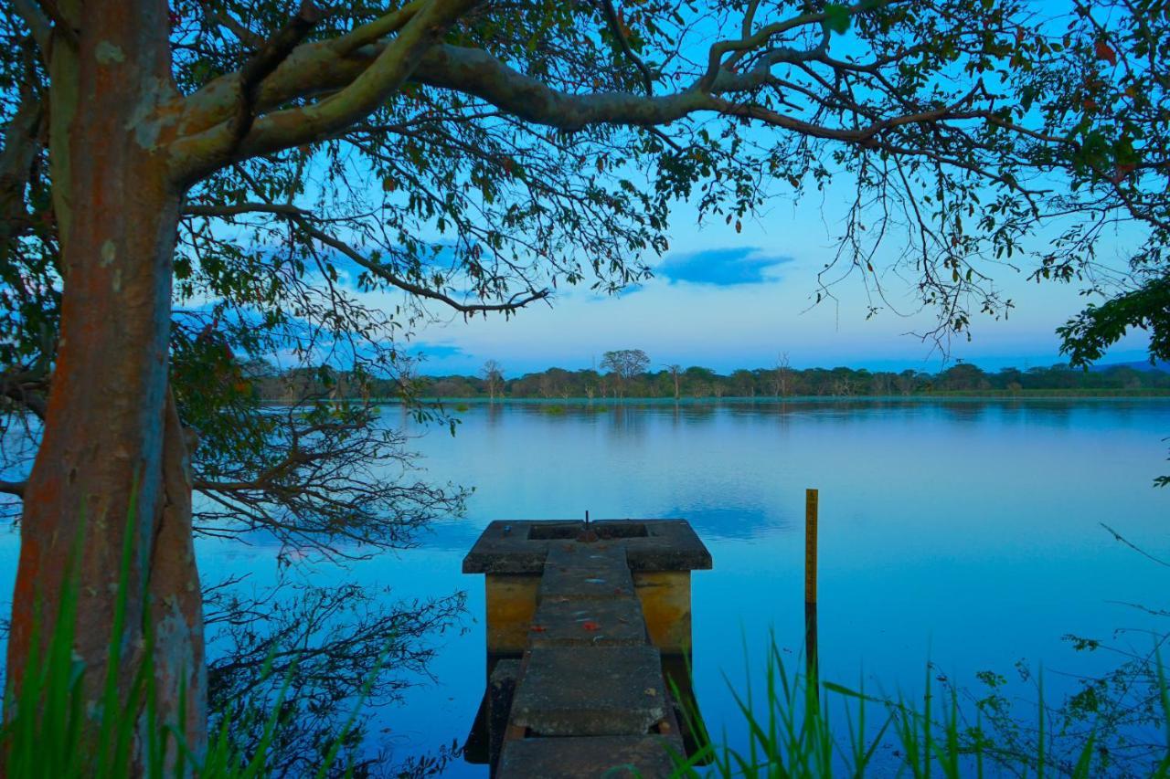 Hidden Lake Cottages シギリヤ エクステリア 写真